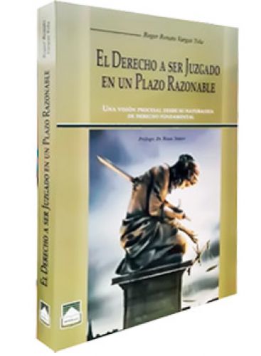 EL DERECHO A SER JUZGADO EN UN PLAZO RAZONABLE