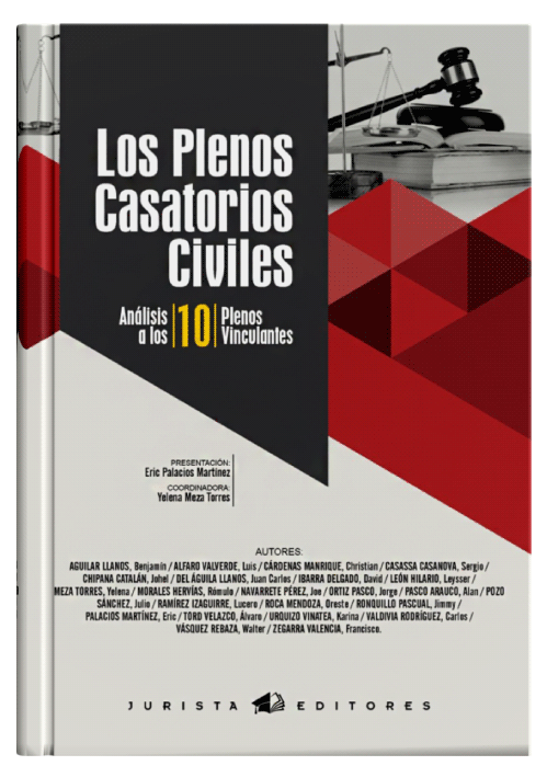 LOS PLENOS CASATORIOS CIVILES - Análisi..