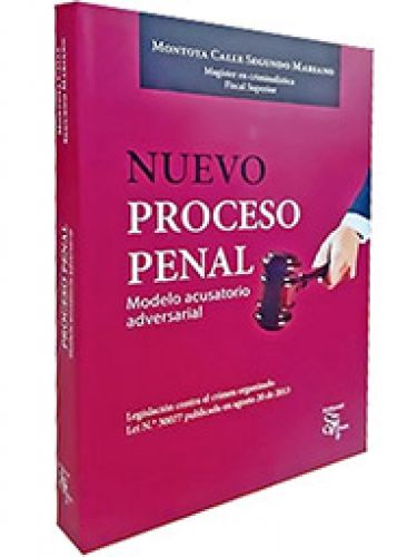 NUEVO PROCESO PENAL. Modelo observatorio..