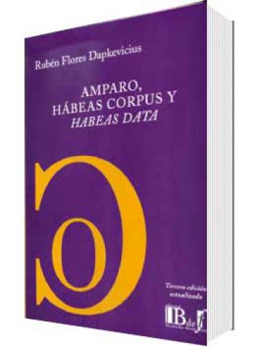 AMPARO, HÁBEAS CORPUS Y HABEAS DATA..