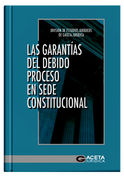 LAS GARANTÍAS DEL DEBIDO PROCESO EN SEDE CONSTITUCIONAL