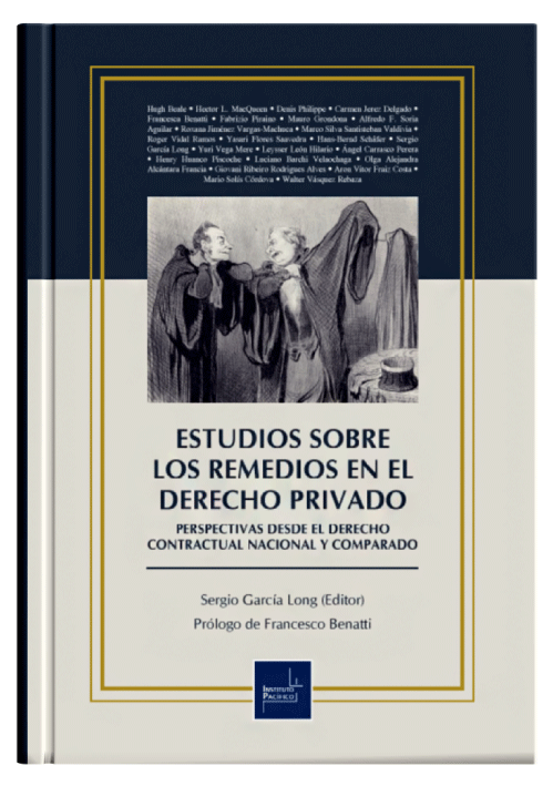 ESTUDIOS SOBRE LOS REMEDIOS EN EL DERECHO PRIVADO
