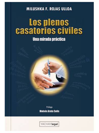 LOS PLENOS CASATORIOS CIVILES. Una mirad..