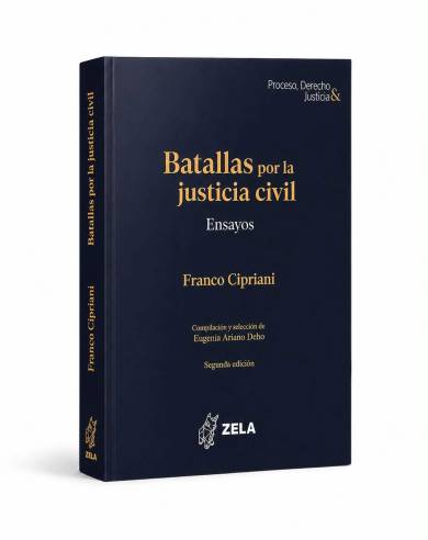 BATALLAS POR LA JUSTICIA CIVIL. Ensayos..