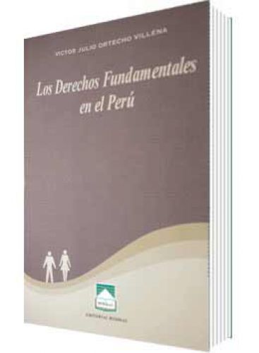 LOS DERECHOS FUNDAMENTALES EN EL PERÚ
