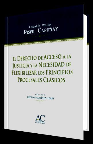 EL DERECHO DE ACCESO A LA JUSTICIA Y LA ..